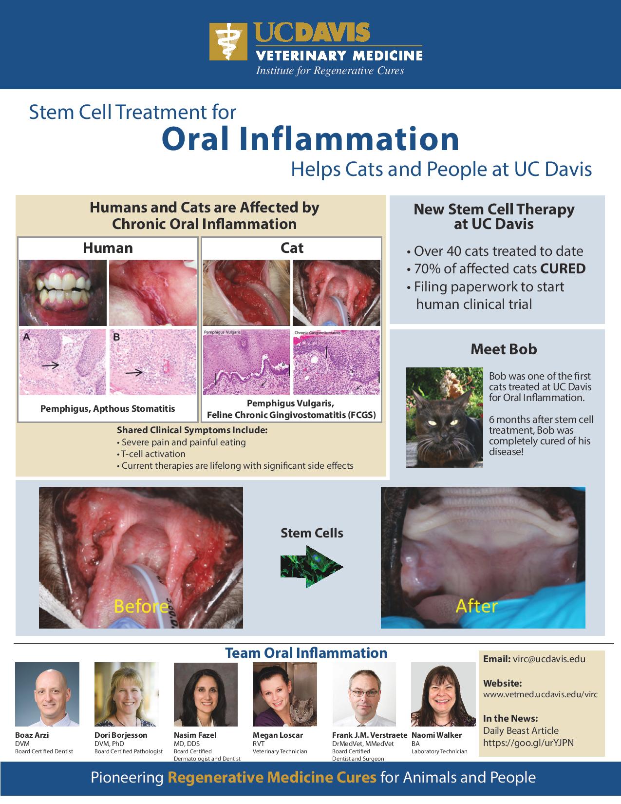 veterinary-institute-for-regenerative-cures-school-of-veterinary